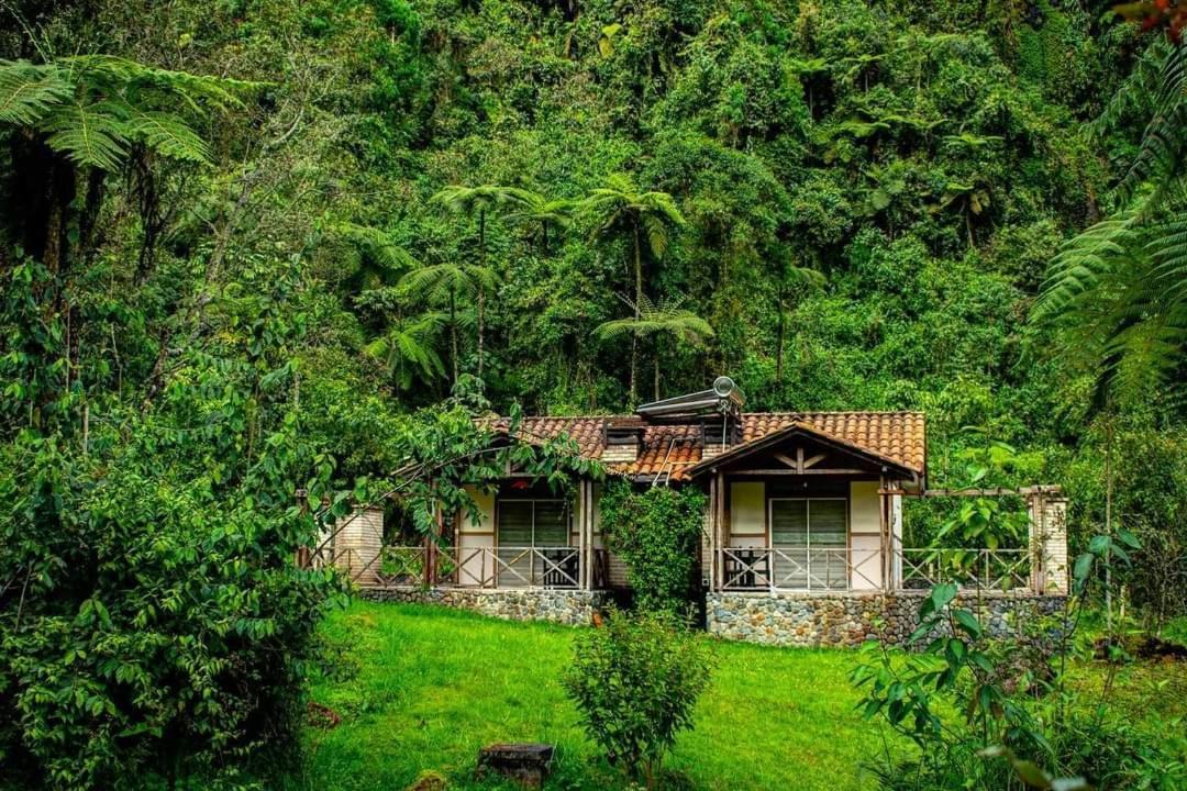 Hotel Termales San Vicente Santa Rosa de Cabal Eksteriør billede